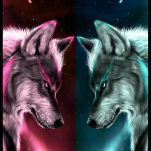 Meet your Posher, Clayton